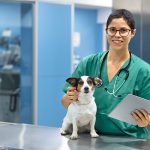 medical waste for veterinarian