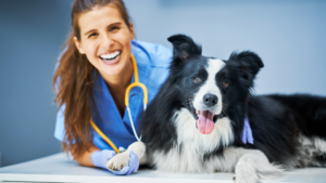 Vet with dog